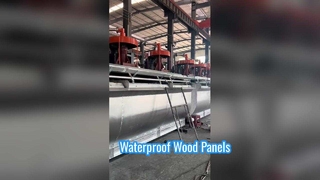 Επίπλευση Κυψέλη-3