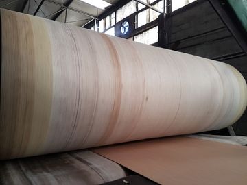 Υψηλή διάρκεια ζωνών Corrugator ακρών Aramid για BHS, FOSBER, ζαρωμένη MARQUIP γραμμή
